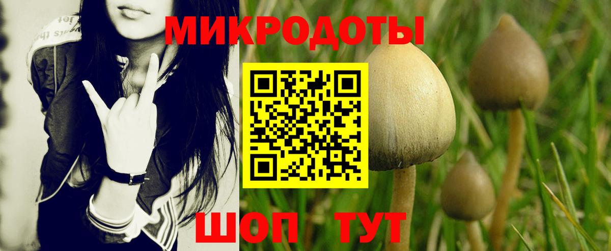 Медногорск  Псилоцибиновые грибы MAGIC MUSHROOMS  Вход с VPN 