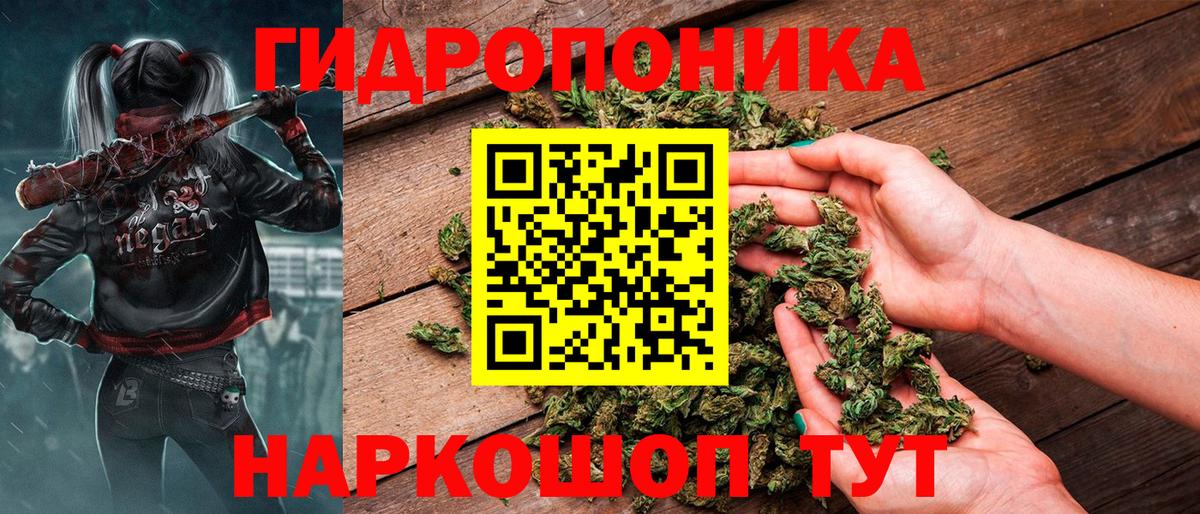 Канабис семена Медногорск